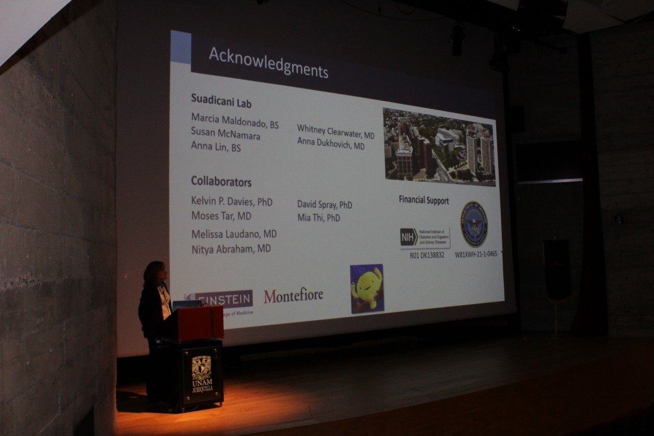 Scientific presentation