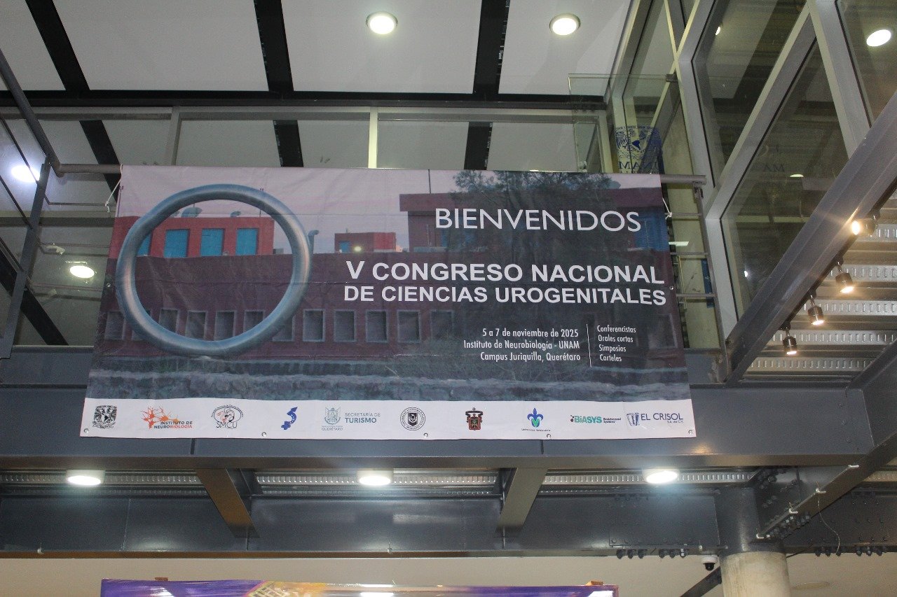 Scientific presentation